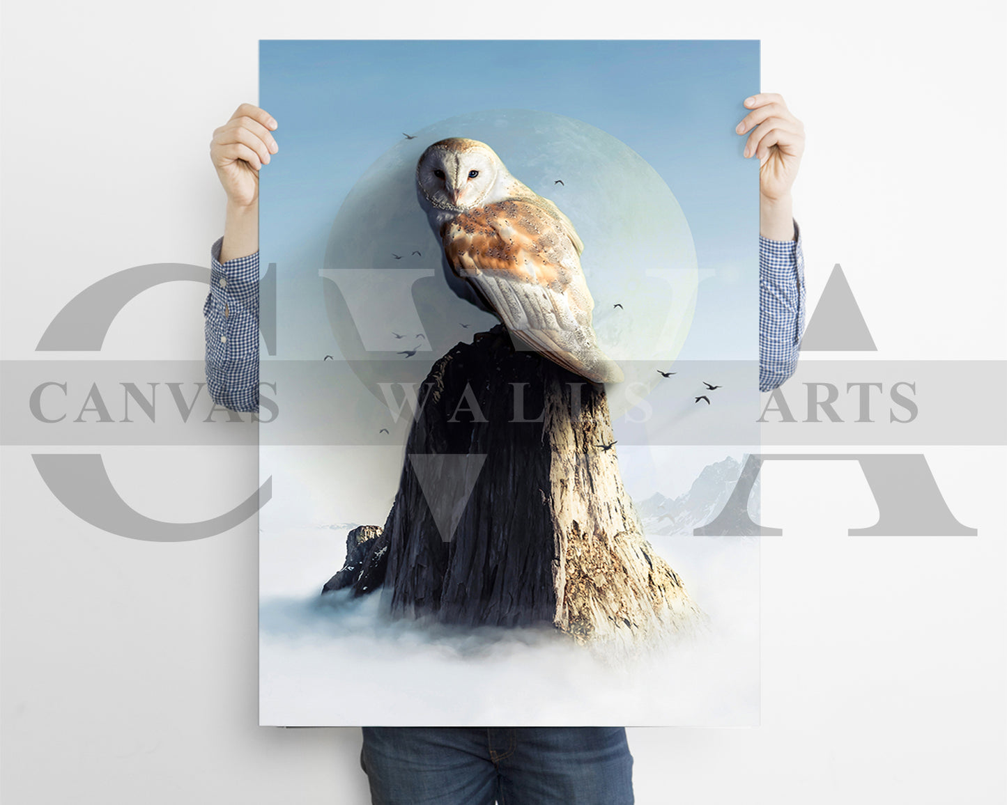 Ancestral Owl Canvas Wall Art