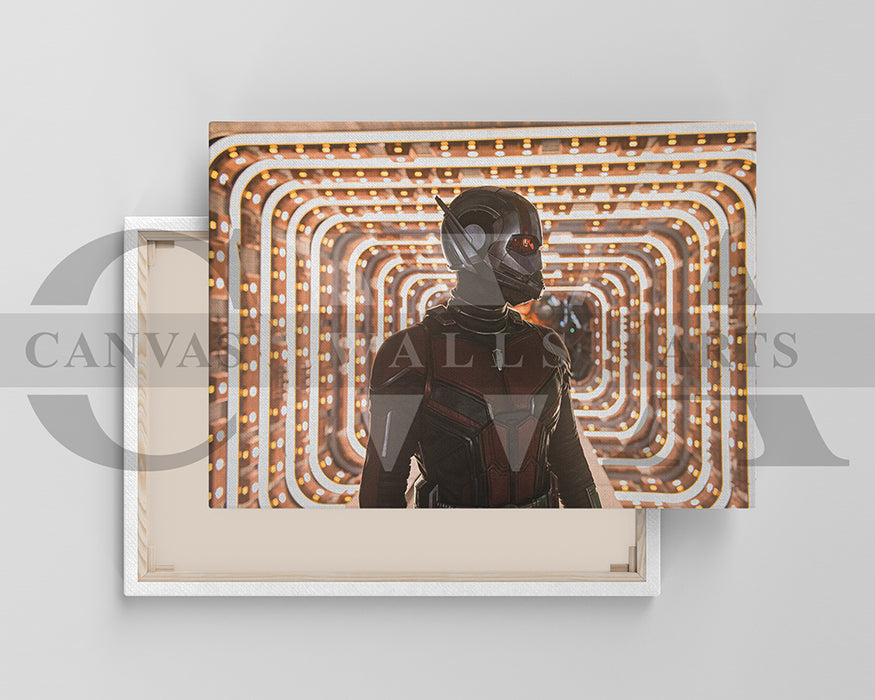 Ant Man Canvas Frame