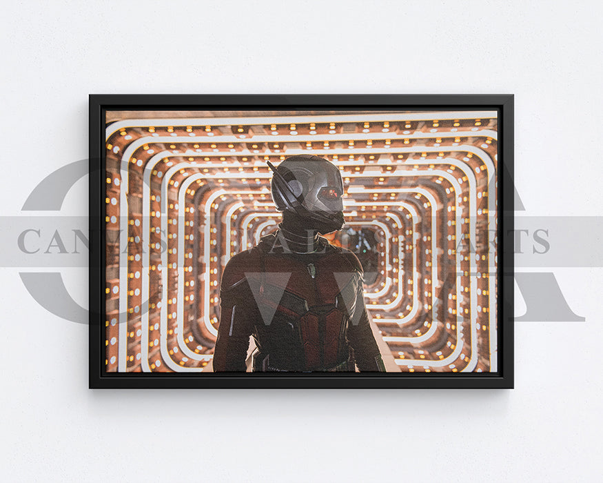 Ant Man Canvas Frame