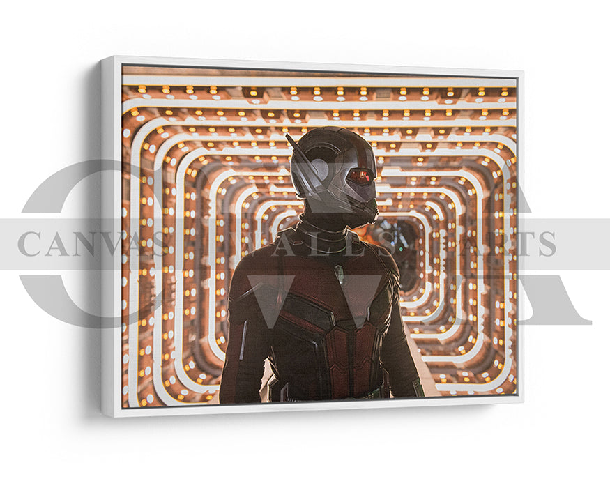 Ant Man Canvas Frame