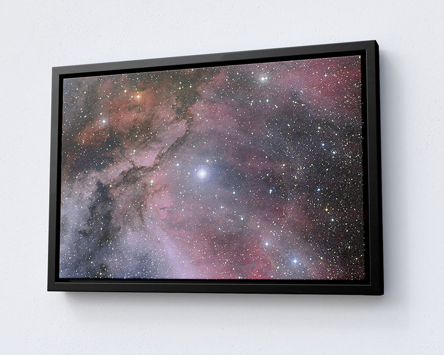Carina Nebula Galaxy Canvas Print