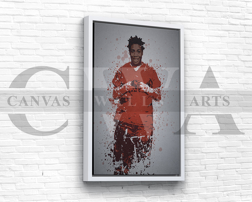 Crazy Eyes Canvas Wall Art