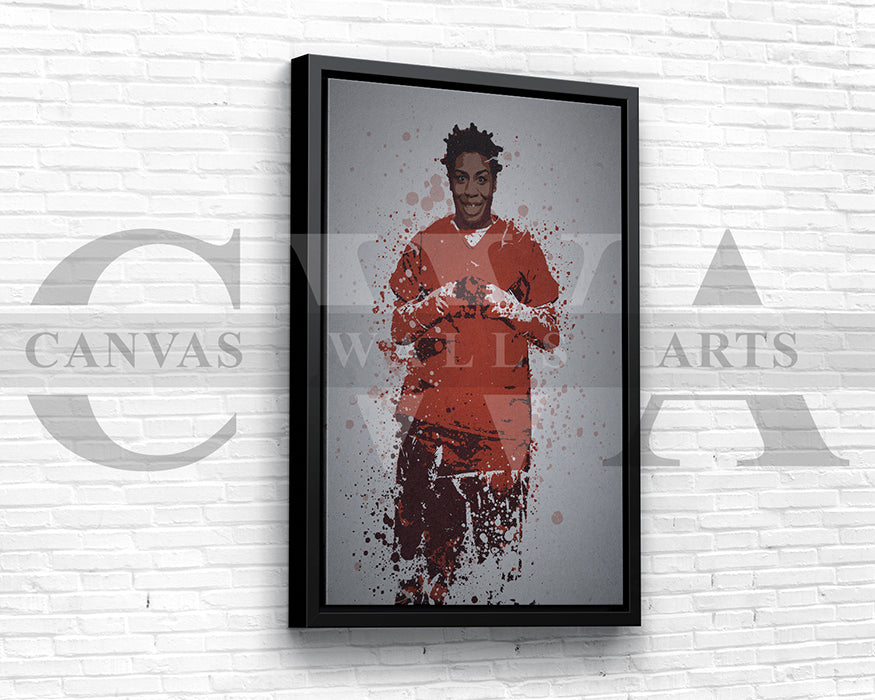 Crazy Eyes Canvas Wall Art