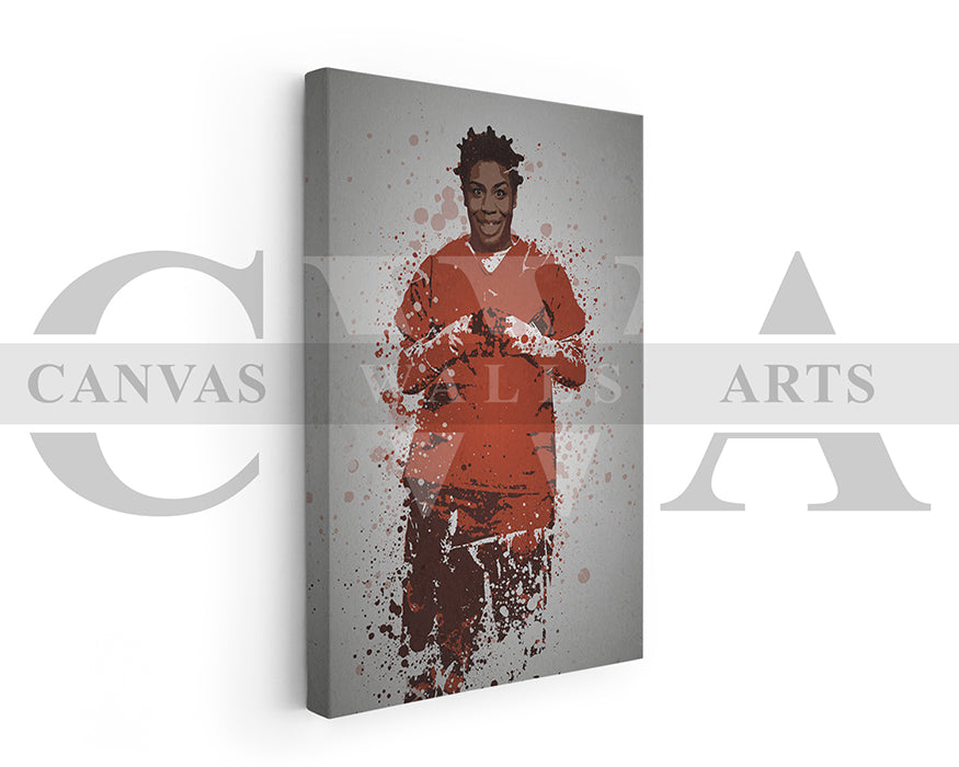 Crazy Eyes Canvas Wall Art