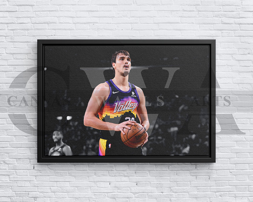 Dario Saric Black & White Canvas Art Basketball Canvas Wall Art