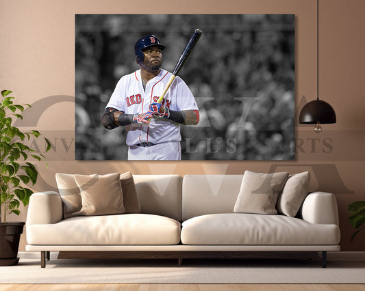 David Ortiz Black & White Canvas Art