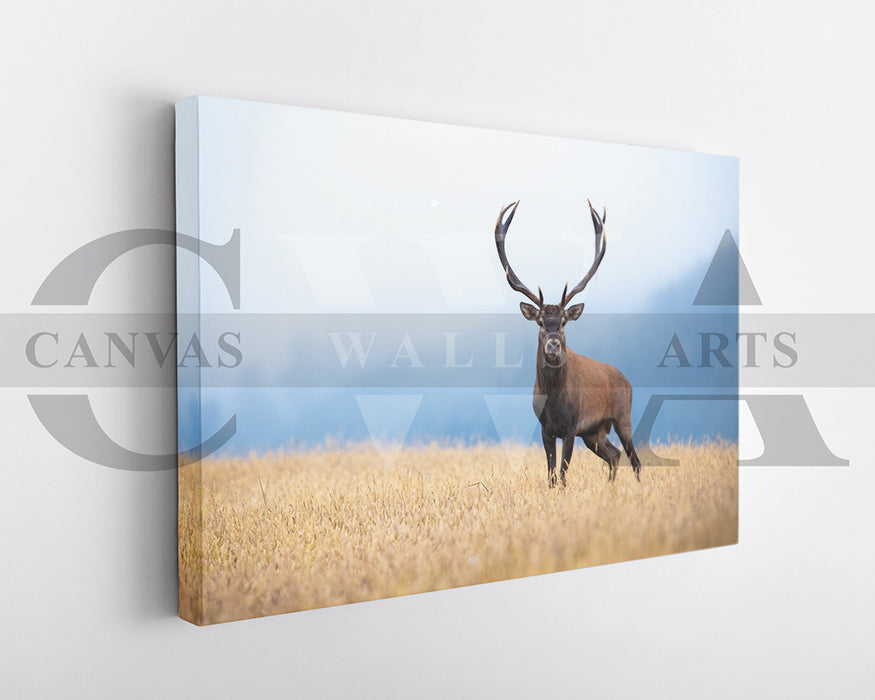 Deer Canvas Wall Art Animal Poster Prints