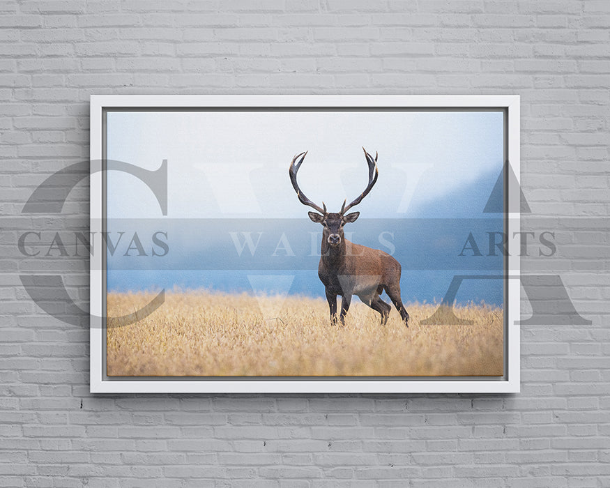 Deer Canvas Wall Art Animal Poster Prints