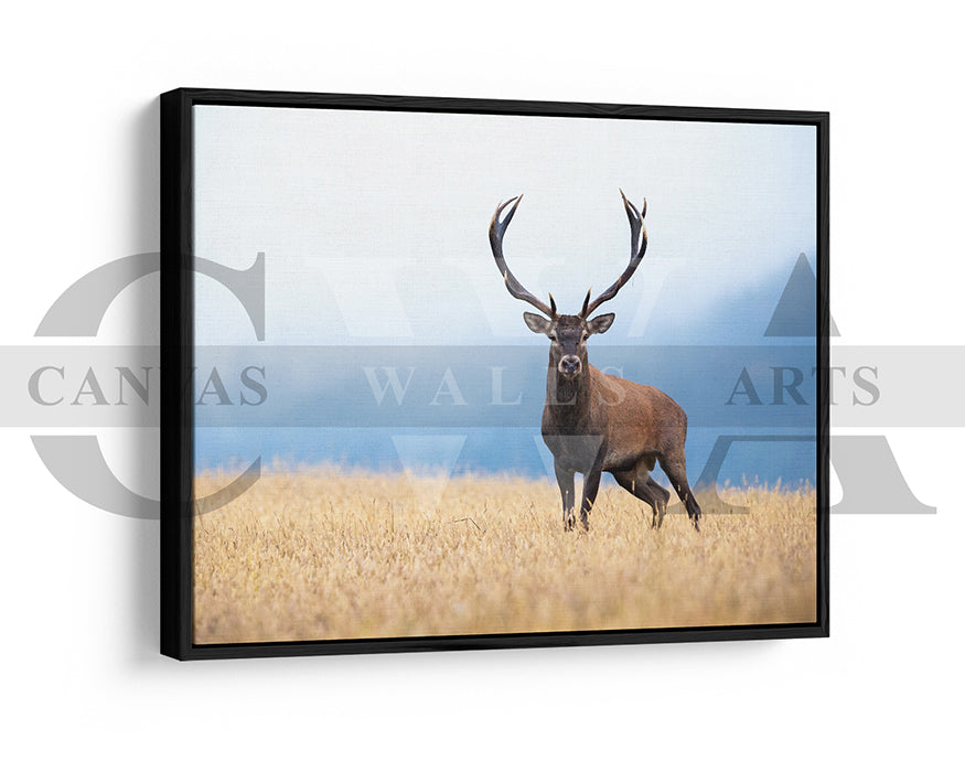 Deer Canvas Wall Art Animal Poster Prints