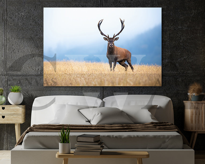 Deer Canvas Wall Art Animal Poster Prints
