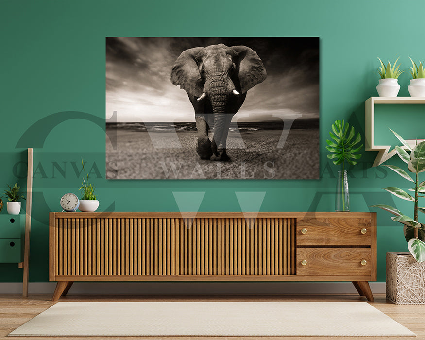 Elephant Canvas Wall Art Animal Poster Print