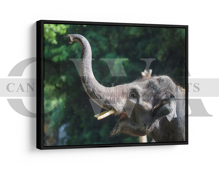 Elephant Canvas Wall Art Animal Poster Frame