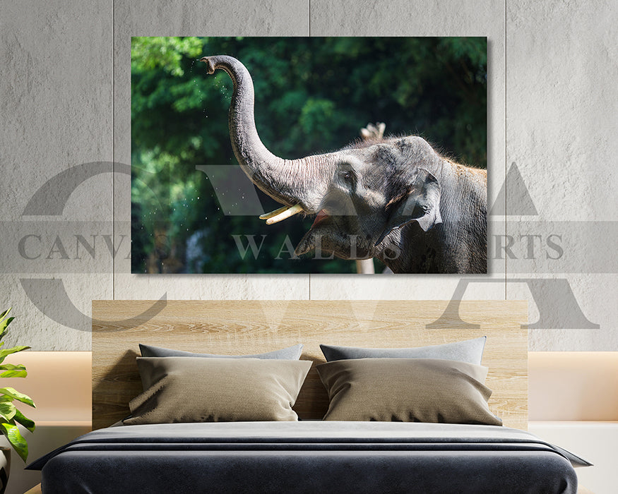 Elephant Canvas Wall Art Animal Poster Frame
