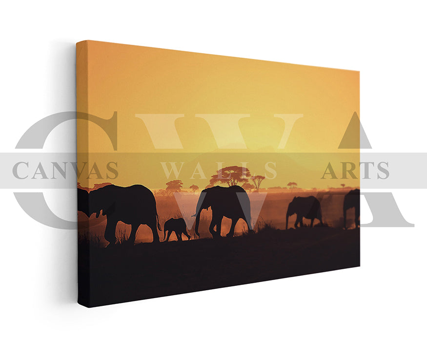 Elephant Canvas Wall Art Animal Home Decor
