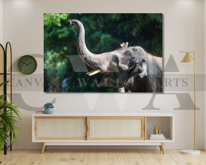 Elephant Canvas Wall Art Animal Poster Frame