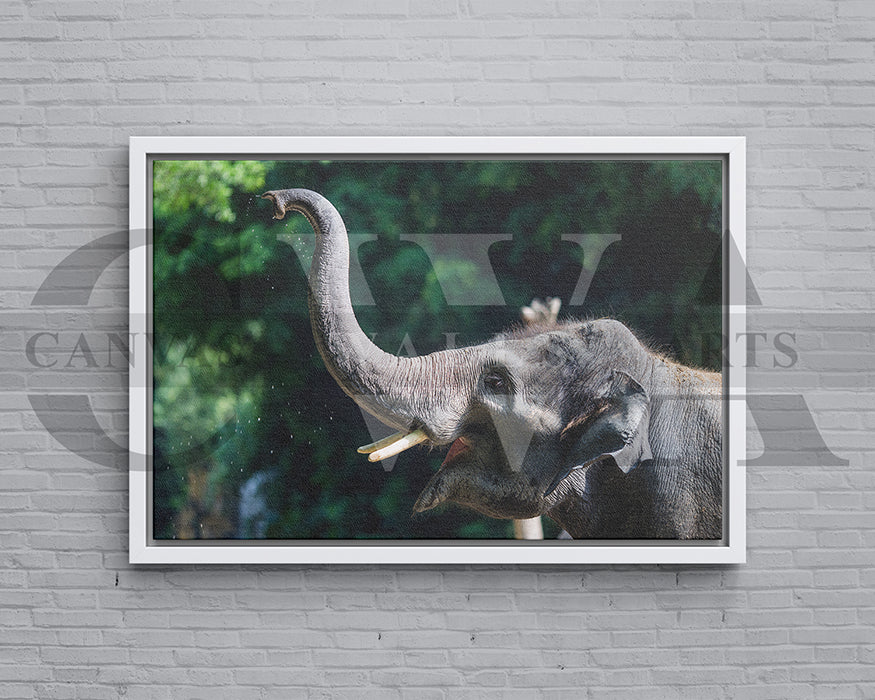Elephant Canvas Wall Art Animal Poster Frame