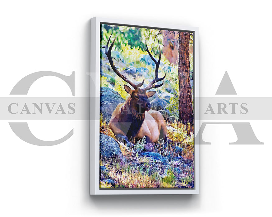 Elk Bull Canvas Wall Art Animal Poster Print