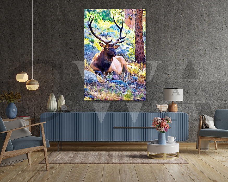 Elk Bull Canvas Wall Art Animal Poster Print
