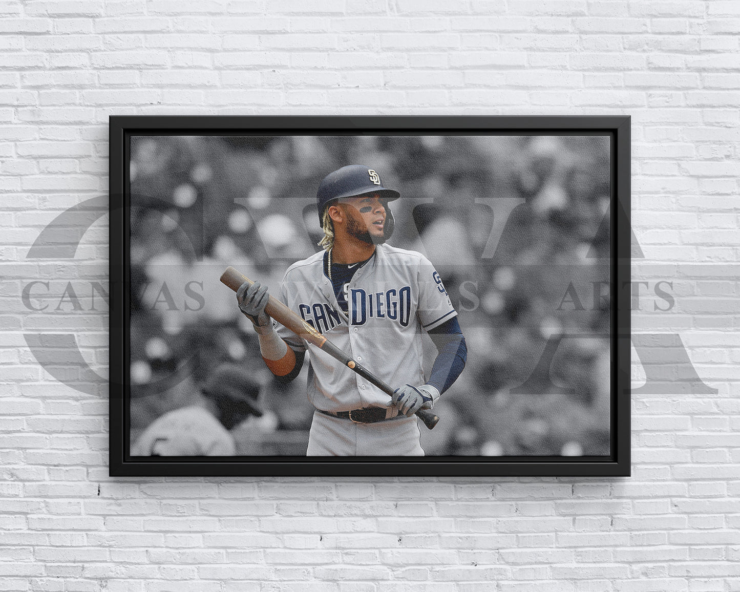 Sports Canvas Frame