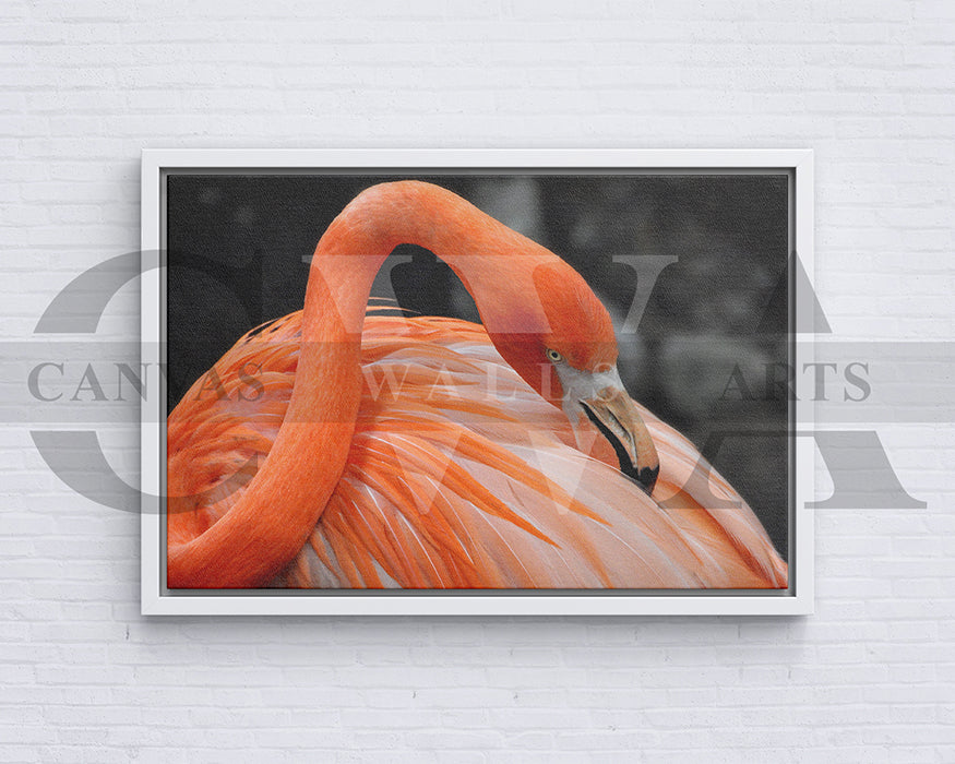 Flamingo Canvas Painting Bird Poster Print