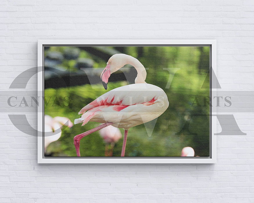 Flamingo Canvas Wall Arts Bird Poster Print