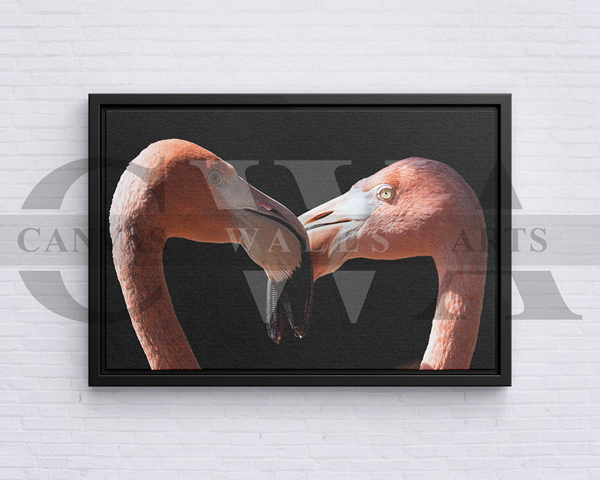 Flamingo Kissing Canvas Wall Art Bird Poster Print