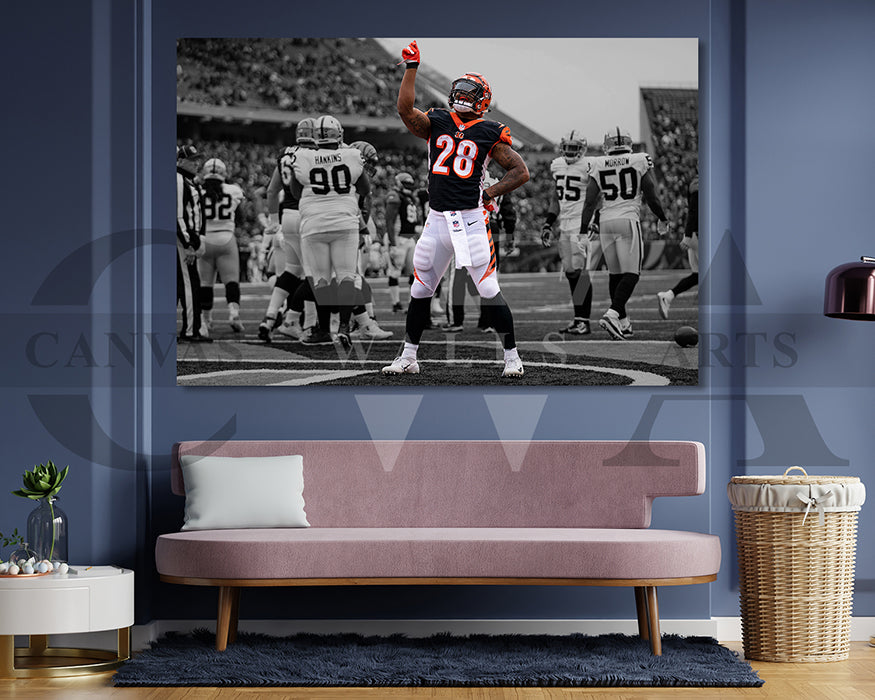 Joe Mixon Black & White Canvas Art American Football Canvas Wall