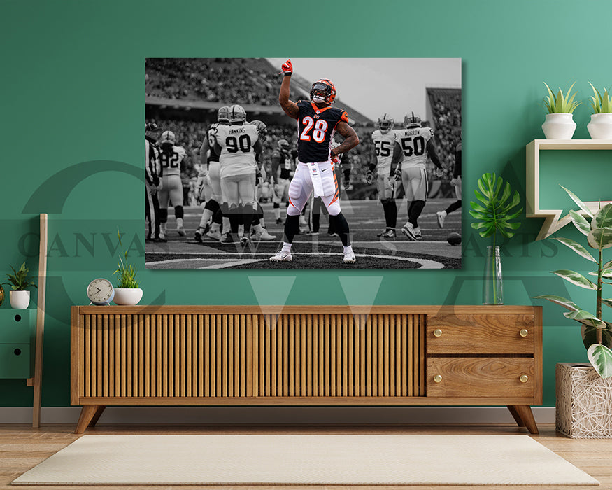 Joe Mixon Black & White Canvas Art American Football Canvas Wall