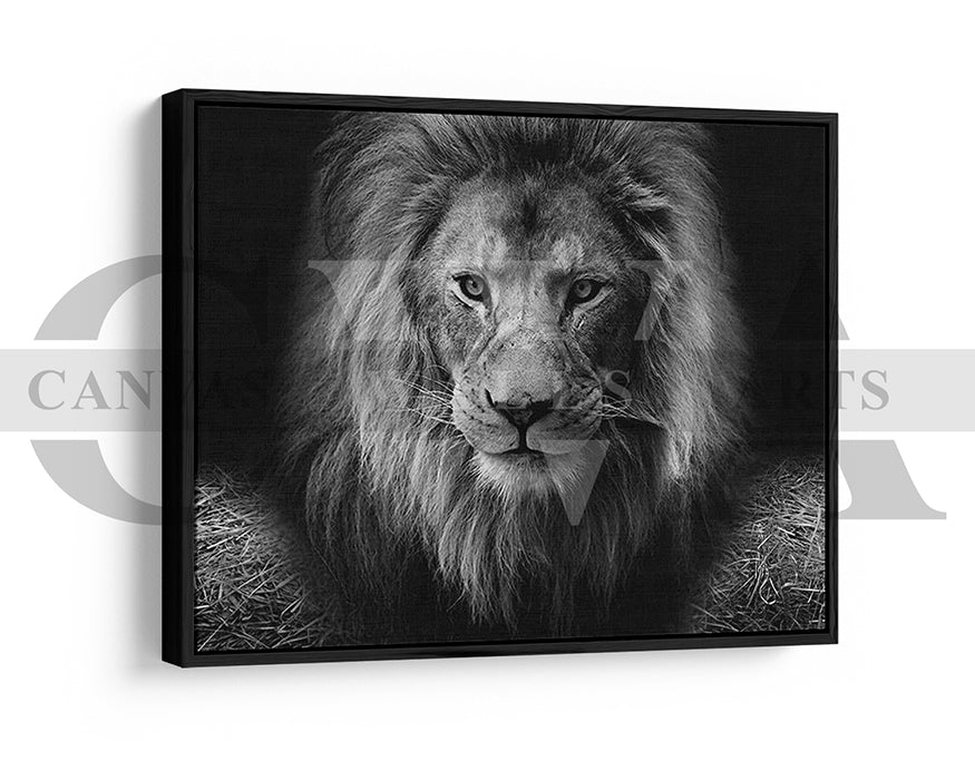 Lion Black and White Canvas Wall Art Animal Poster Print