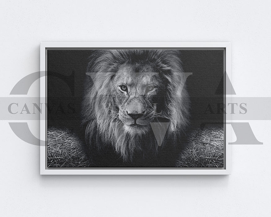 Lion Black and White Canvas Wall Art Animal Poster Print
