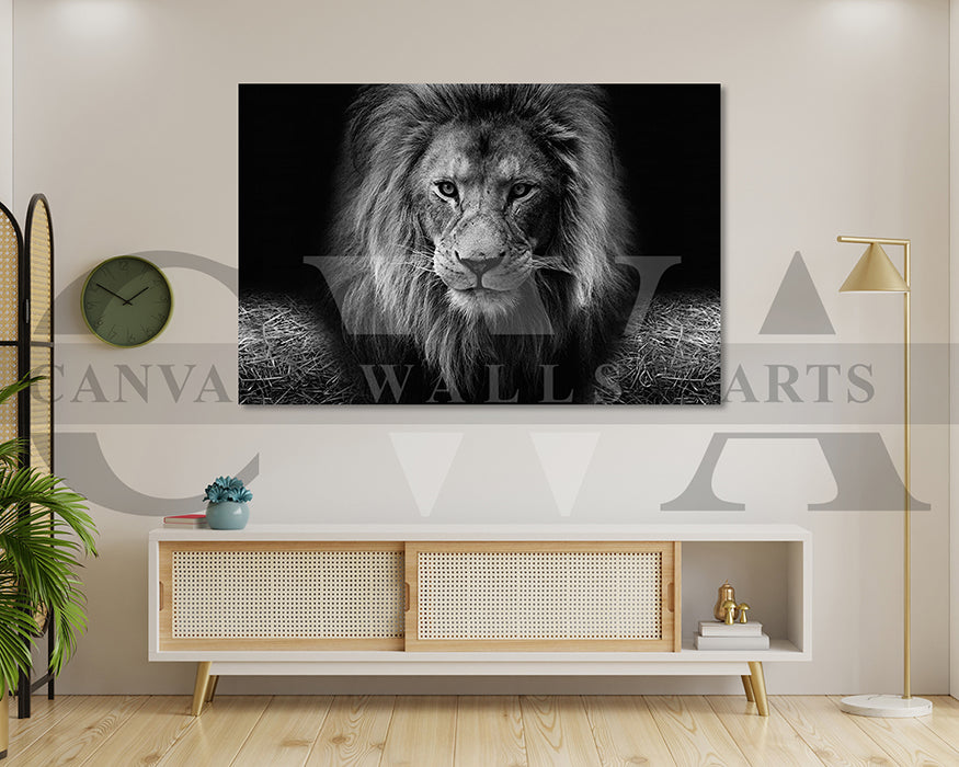 Lion Black and White Canvas Wall Art Animal Poster Print