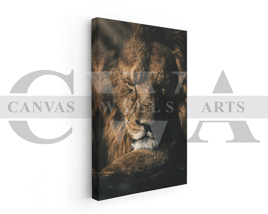 Lion Canvas Wall Art Animal Poster Prints