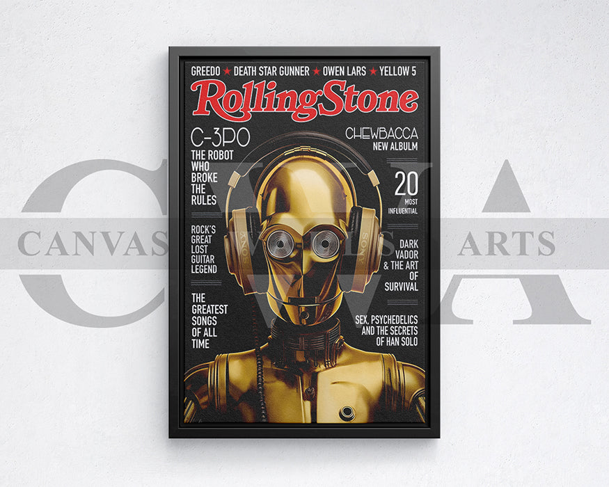 Rolling Stone Canvas Wall Art