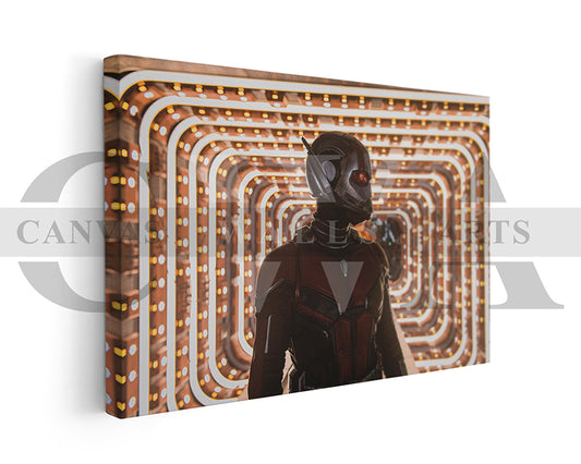 Ant Man Canvas Frame