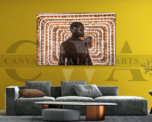Ant Man Canvas Frame