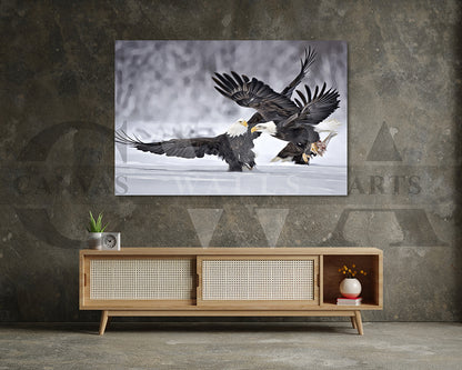 Bald Eagle Canvas Wall Art Bird Poster Print