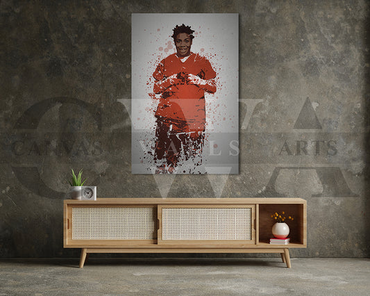 Crazy Eyes Canvas Wall Art