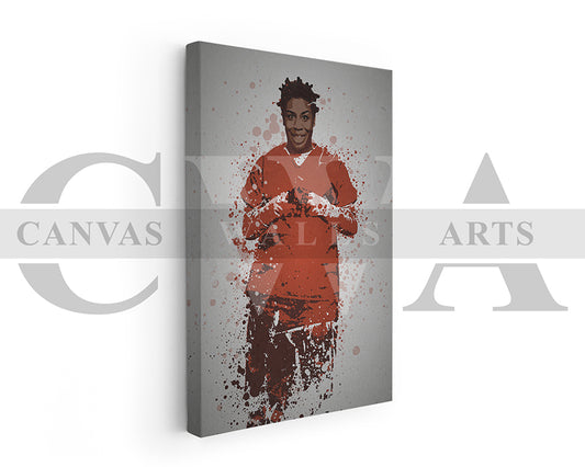 Crazy Eyes Canvas Wall Art