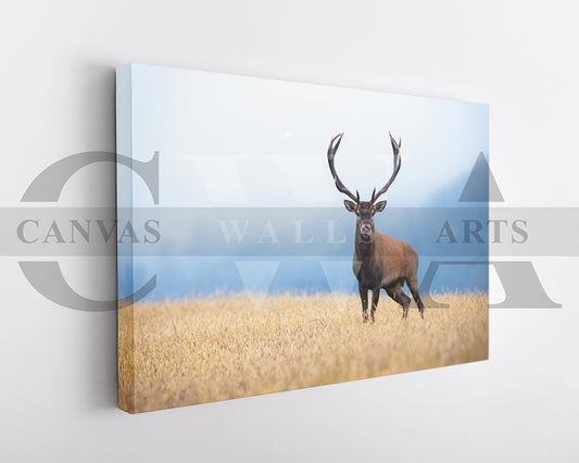 Deer Canvas Wall Art Animal Poster Prints