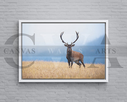 Deer Canvas Wall Art Animal Poster Prints