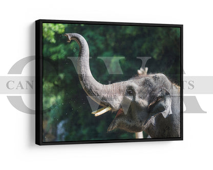 Elephant Canvas Wall Art Animal Poster Frame