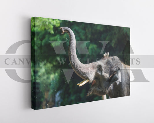 Elephant Canvas Wall Art Animal Poster Frame