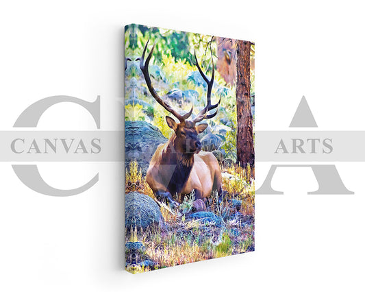 Elk Bull Canvas Wall Art Animal Poster Print