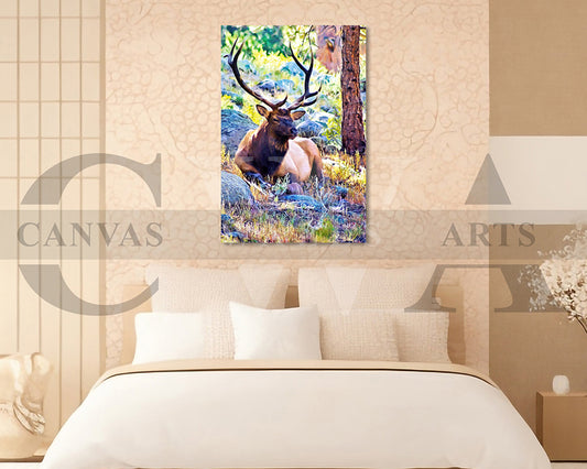 Elk Bull Canvas Wall Art Animal Poster Print
