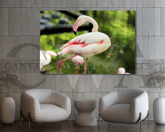 Flamingo Canvas Wall Arts Bird Poster Print
