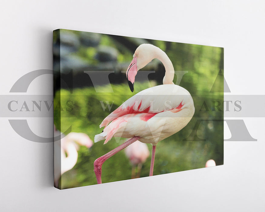 Flamingo Canvas Wall Arts Bird Poster Print