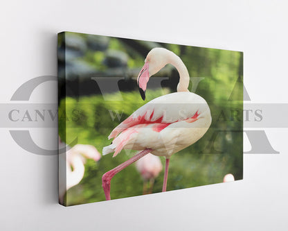 Flamingo Canvas Wall Arts Bird Poster Print