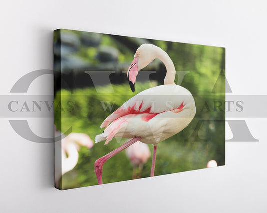 Flamingo Canvas Wall Arts Bird Poster Print