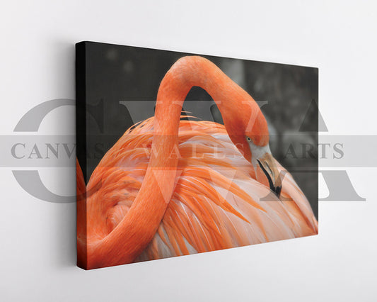 Flamingo Canvas Painting Bird Poster Print