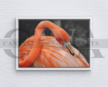 Flamingo Canvas Painting Bird Poster Print